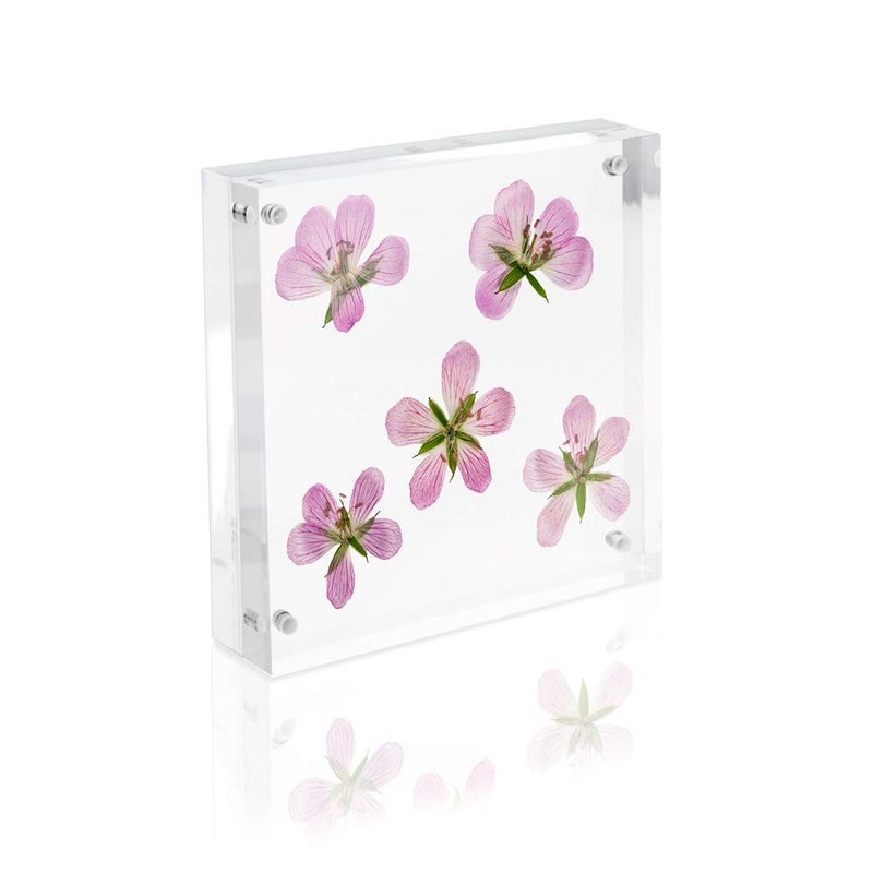 Isaac Jacobs 4â€ x 4â€ (4-Pack) Super Thick [23MM Thickness] Clear Acrylic Magnetic Block Picture Frame, Double-Sided, Frameless, Freestanding, Floating Photos, for Desktop & Tabletop Display (4x4) - Image 5